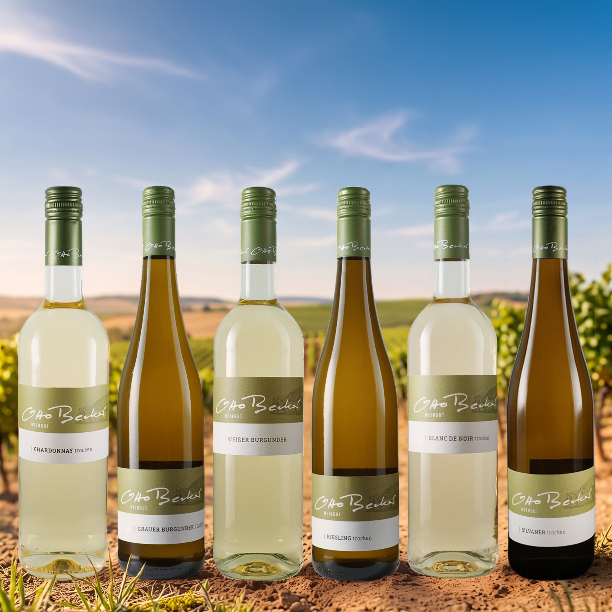 Weinpaket trocken weiß
