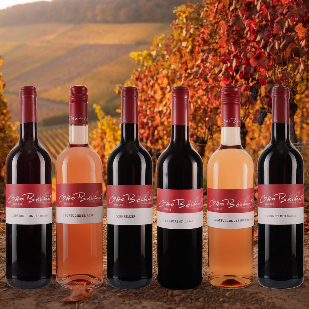 Weinpaket rot / rosé
