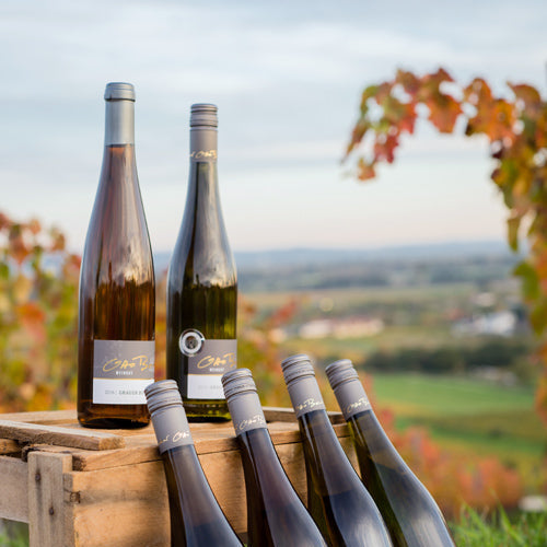 Kennenlern-Paket mit ausgewählten Weinflaschen vom Weingut Otto Becker auf einer Holzkiste vor herbstlicher Weinberglandschaft in Rheinhessen